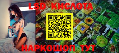 mdma Аргун
