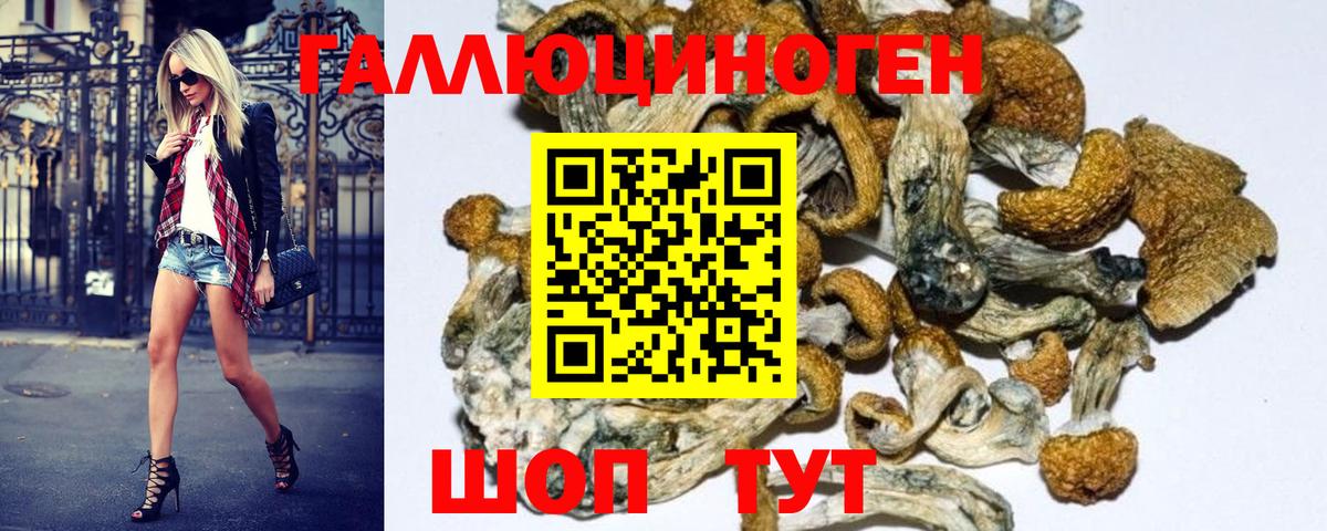 Псилоцибиновые грибы прущие грибы Артёмовский