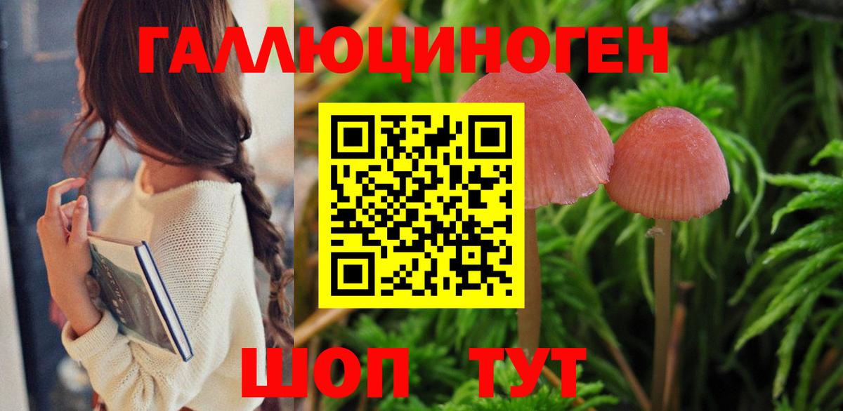 ГАШ Артёмовский