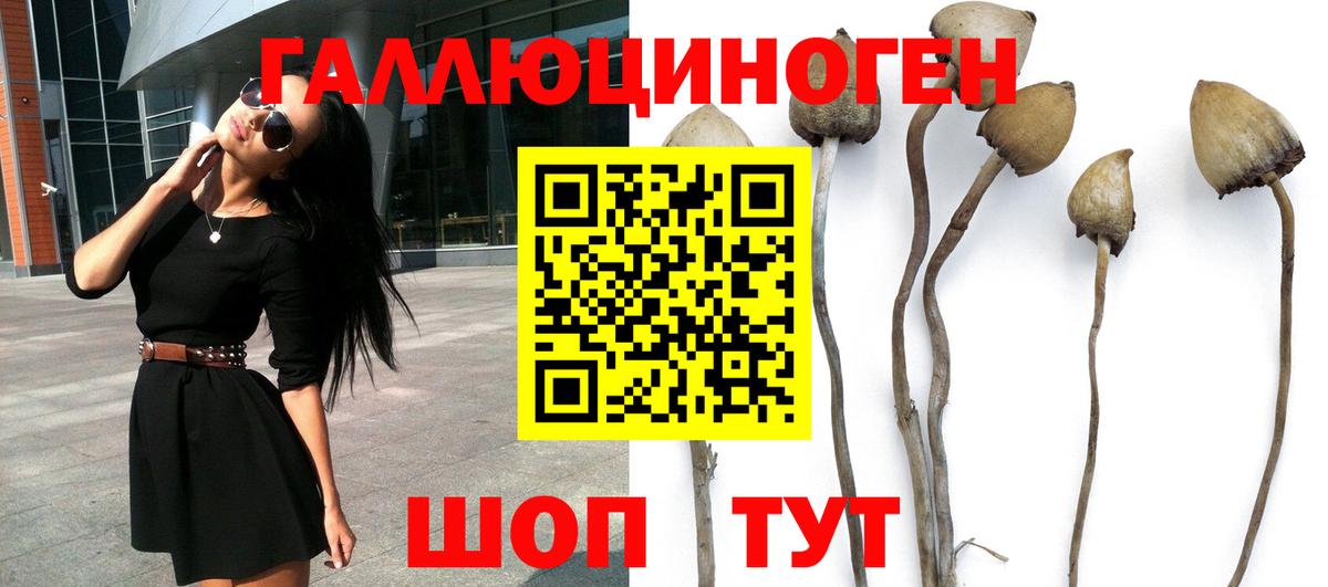 Артёмовский  Псилоцибиновые грибы ЛСД  Вход с VPN 