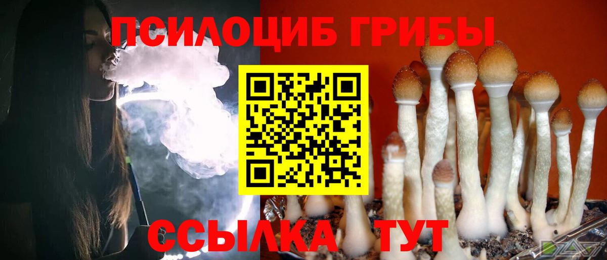 Галлюциногенные грибы Psilocybe  Псилоцибиновые грибы Psilocybe  Артёмовский 